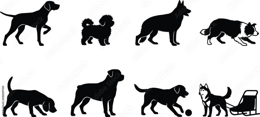 Obraz premium Dog Breeds and Canine Activities Icons Set with Pet Care Symbols