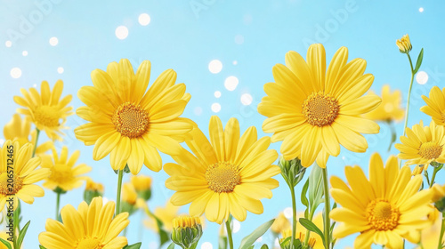Golden rain falling over bright yellow daisies with magical sparkling effects