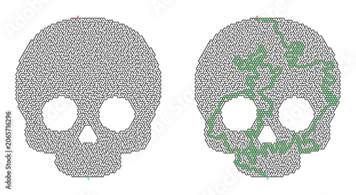 Halloween maze illustration featuring a skull design with a visible solution path for children, suitable for festive activities and educational purposes