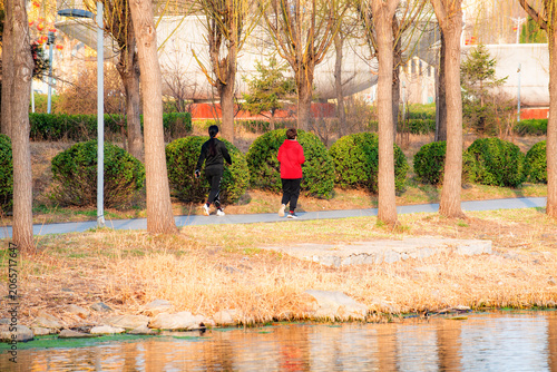 People walking and taking photos on riverside boardwalk in vibrant spring park