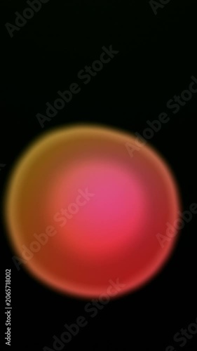 Multicolor Gradient Liquid Blob Background Pack, 5 Seamless Loops, 9:16 Vertical Video