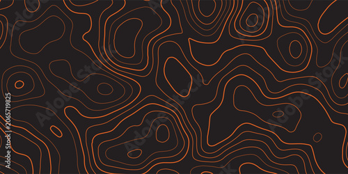 Fotografía Minimalist dark abstract background with black topographic striped lines
