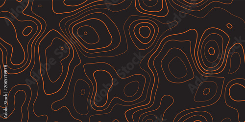 Tableau sur toile Minimalist dark abstract background with black topographic striped lines