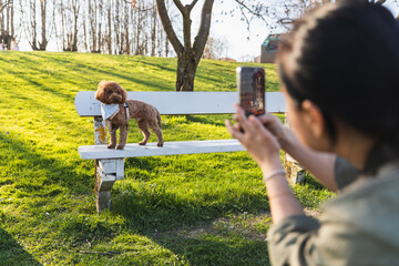 Asian woman taking photo of her dog with phone