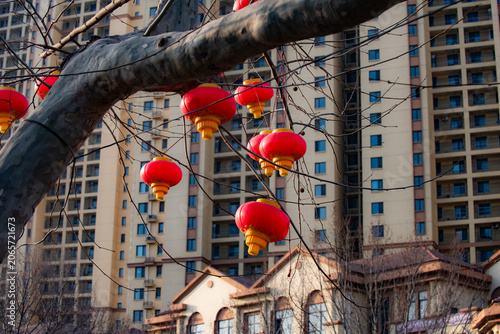 Red lanterns hang on bare branches, greeting early spring warmly