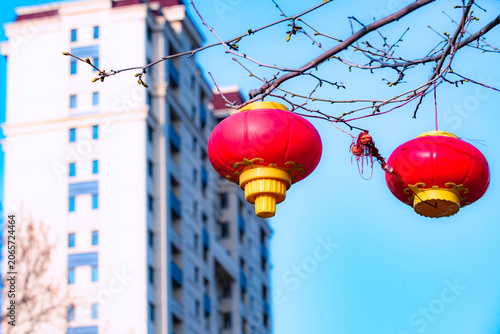 Red lanterns hang on bare branches, greeting early spring warmly