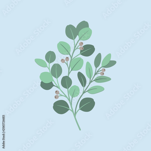 A simple green eucalyptus branch illustration on a blue background