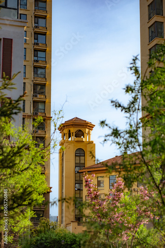 Spring blossoms frame courtyard gate with vibrant spring vibes