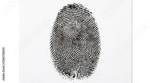 Black ink fingerprint showing detailed whorls and ridges