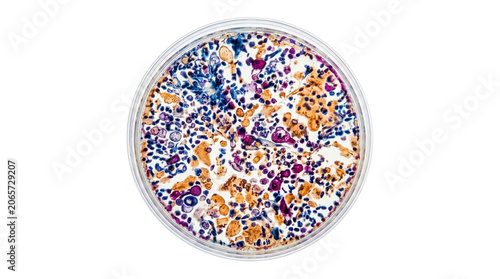 Microscopic view of colorful biological cells in petri dish