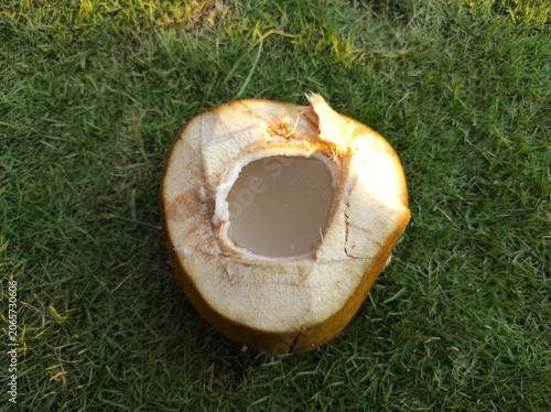 coconut