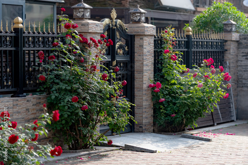 Spring blossoms frame courtyard gate with vibrant spring vibes