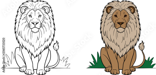 Cute Cartoon Lion Illustration Set