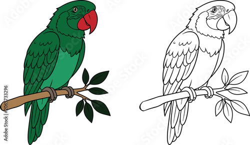 Parrot Bird Vector for Kids