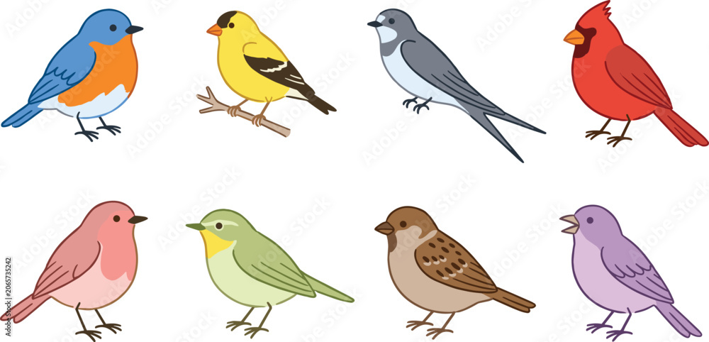 Obraz premium North American songbirds vector illustration collection featuring detailed cartoon designs of bluebird goldfinch swallow red cardinal robin warbler sparrow and purple finch species.