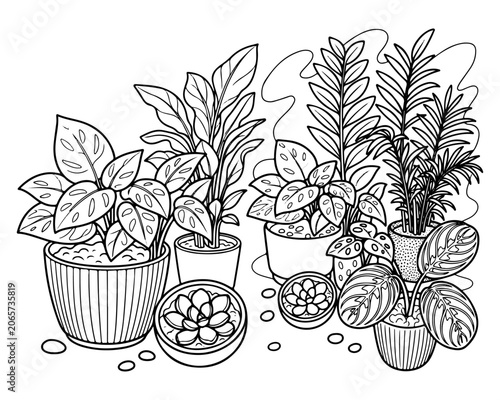 Houseplants in Pots Line Art Coloring Page Illustration