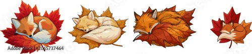 A charming autumn maple leaf, cleverly shaped to resemble a cozy curled-up sleeping fox, is adorned with warm hues of orange and red against a pristine white background