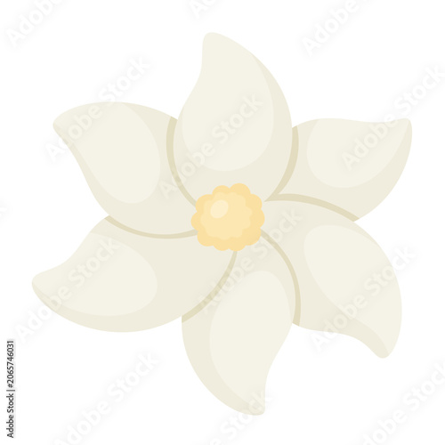 White Flower Cartoon Blossom with Soft Cream Petals and Yellow Center