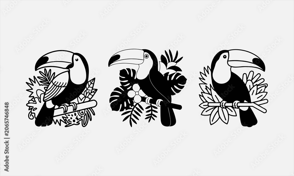 Obraz premium Colorful Toucan in Tropical Jungle Vector line art icon set Illustration