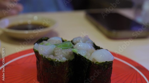 Two Japanese Sushi Rolls on Red Tray. Close-Up of Fresh Maki with Seaweed and Rice