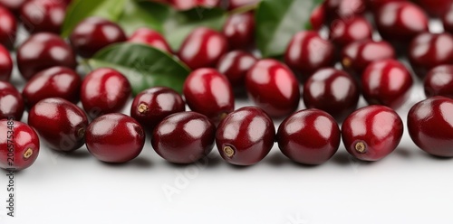 Ripe red coffee cherries on white background - perfect for coffee branding