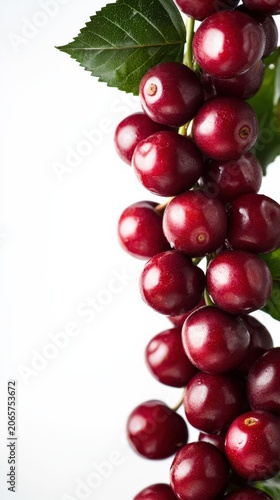 Fresh ripe cherries close-up on white background for food packaging and recipe blogs