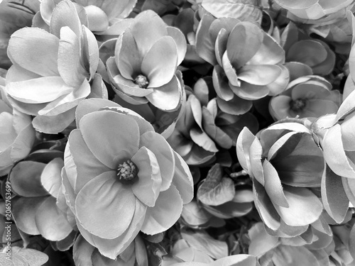 Monochrome close up of artificial fabric flowers with layered petals
