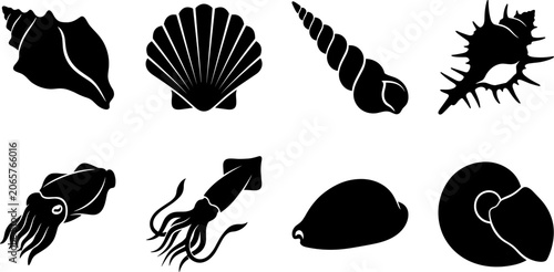 Fotografie Sea shell and marine life silhouette vector set including scallop conch squid an