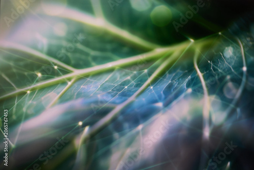 Green technology network integrated into natural plant environment with soft atmospheric light