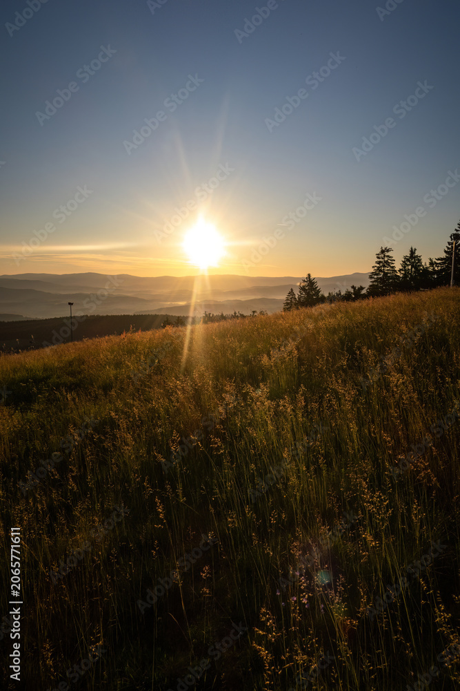 Obraz premium Golden sunrise light illuminates rolling hills and forests seen from Geisskopf in the Bavarian Forest.