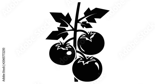 Black and White Tomato Vine Silhouette Icon