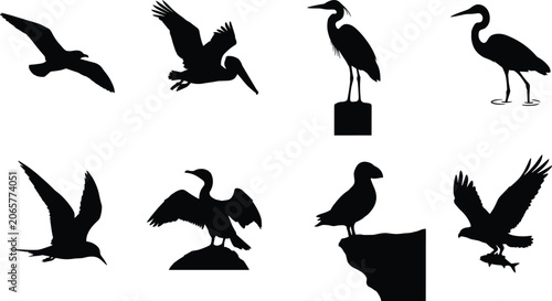 Tableau sur toile Coastal bird and marine wildlife silhouette vector set featuring seagull pelican