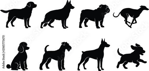 Photos Collection of black dog silhouettes featuring popular breeds including German Sh