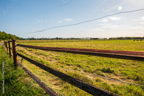 Bild auf Leinwand Wooden fence with electric wire on green pasture field, countryside equestrian ranch and horse farm paddock under bright blue summer sky