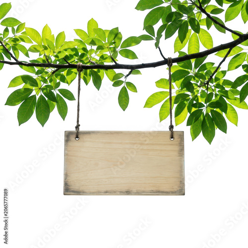 Wooden sign hanging on tree branch isolated on transparent background