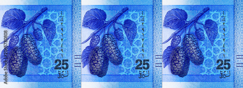 Bild auf Leinwand 25 pounds Syrian banknote detailed engraving of a mulberry branch with berries and leaves