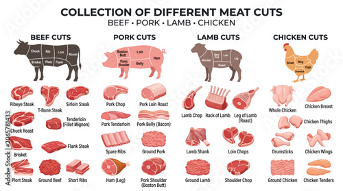 Картината върху платно Collection of Different Meat Cuts Beef Pork Lamb and Chicken Visual Guide for Bu