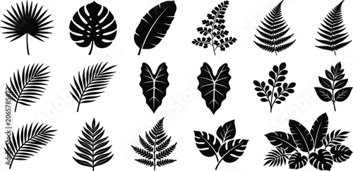Photos Tropical Leaf Silhouette Collection Featuring Palm Fronds, Monstera, Ferns, Bota