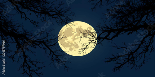 Full Yellow Moon Behind Silhouette Tree Branches at Night Sky