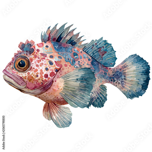 Fotografie Armorfish watercolor vector, hand-painted style, high-quality illustration isolated on white background