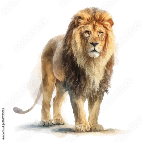 Bilde på lerret Lion watercolor artwork, high-quality professional vector illustration isolated on a white background
