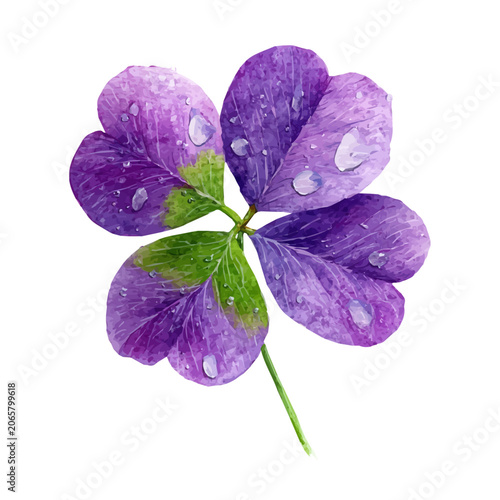 Obraz na plátně Purple Shamrock watercolor artwork, high-quality professional vector illustration isolated on a white background