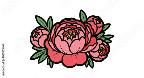 Colorful Peony Flowers in Bloom.