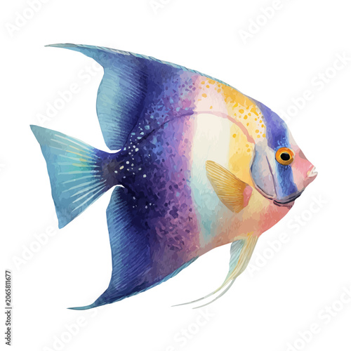 Fotografie Stylized watercolor Angelfish vector, modern artistic illustration with high-quality details on a pure white background