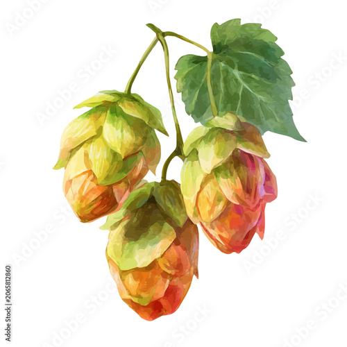 фотографія IPA watercolor vector illustration, high-quality artwork isolated on a pure white background