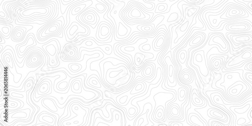 Fotografie Black and white lines seamless Topographic map patterns, Vector illustration, mimicking terrain of technological advancements and innovation