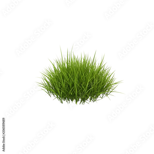 Small patch of green grass texture isolated on transparent background