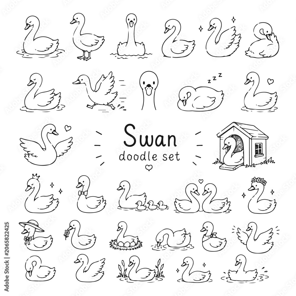 Obraz premium Swan doodles set. Hand drawn vector doodle set on white background