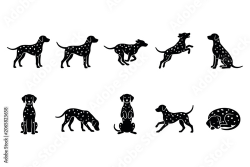 Dalmatian dog silhouettes in various poses on white background with playful concept and graphic style