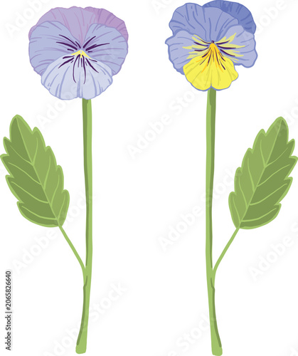 blue vector viola flowers, sprout, leaf, pansies, violets